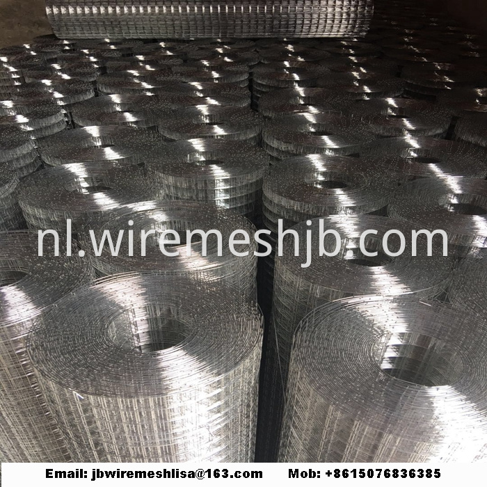 Welded Wire Mesh Galvanized Welded Wire Mesh Roll